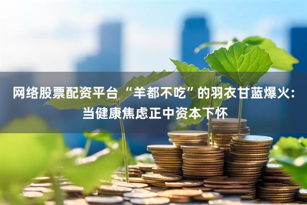 网络股票配资平台 “羊都不吃”的羽衣甘蓝爆火: 当健康焦虑正中资本下怀